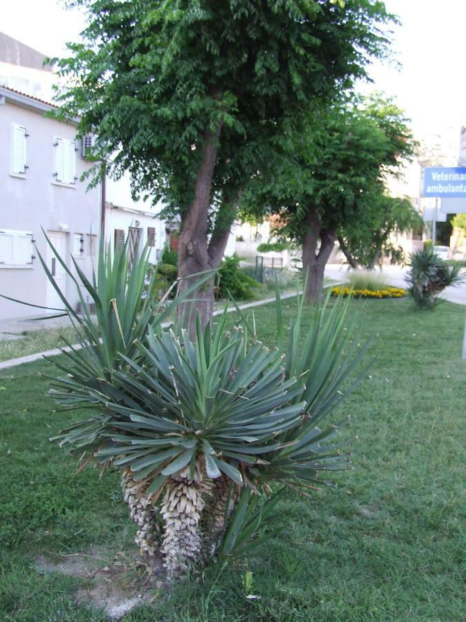 Villa Kuca Za Odmor Matko House Matko à Pag Town Extérieur photo